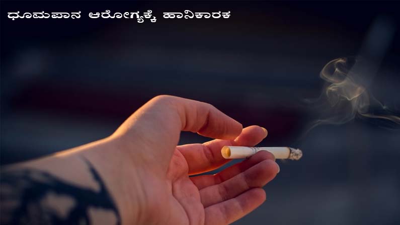Smoker