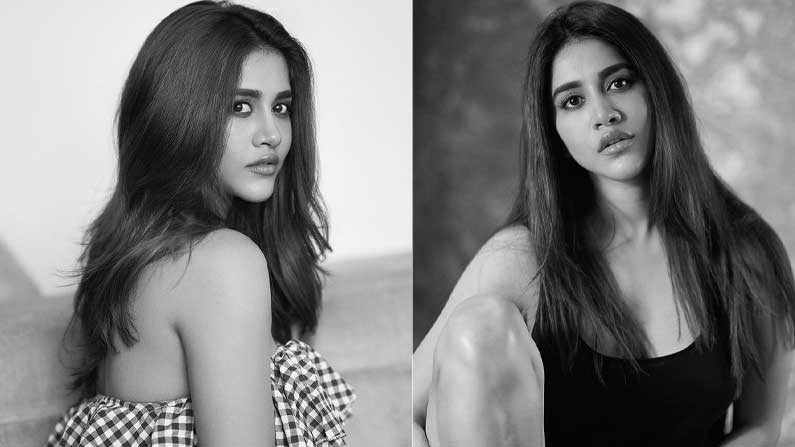 NABHA NATESH