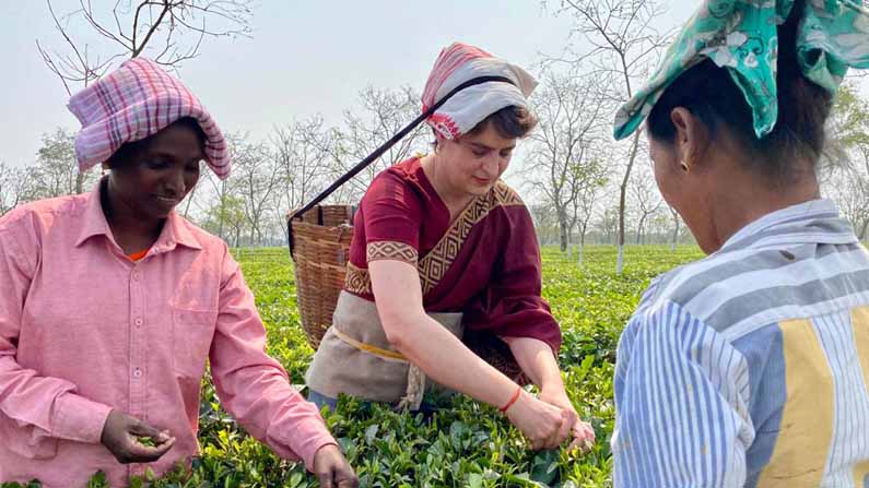 PRIYANKA GANDHI TEA