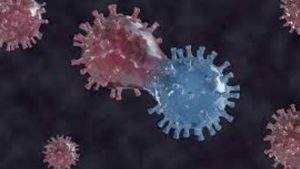 TV9 Big Impact: ಪಾವತಿಸಬೇಕಿದ್ದ ಬಾಕಿ ಮೊತ್ತ ಕಡಿತಗೊಳಿಸಿದ ಸ್ಪರ್ಶ್ ಆಸ್ಪತ್ರೆ; ಕೊರೊನಾ ಸೋಂಕಿತೆಯ ಕುಟುಂಬದಿಂದ ಟಿವಿ9ಗೆ ಧನ್ಯವಾದ