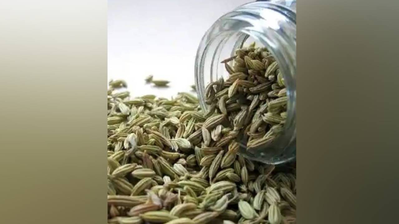 ಆರೋಗ್ಯ ವೃದ್ಧಿಸುವ ಸೋಂಪು TV9 Kannada Health Benifits Of Fennel Seeds Pvd