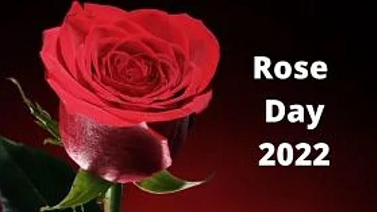 Day 2022 rose Rose Day