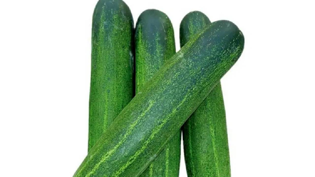 ಸೌತೆಕಾಯಿ ತಿನ್ನುವುದರಿಂದ ಆಗುವ ಪ್ರಯೋಜನಗಳು TV9 Kannada Benefits Of