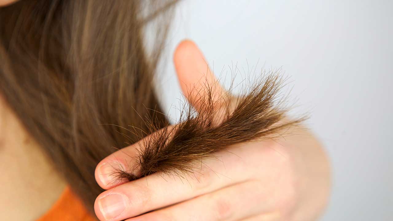 картинки секущихся волос