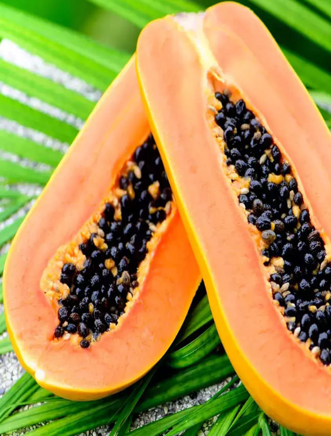 ರಕ್ತಹೀನತೆಯಿಂದ ಬಳಲುತ್ತಿದ್ದಾರೆ? ಹಾಗಾದರೆ ಈ ಹಣ್ಣು ಸೇವಿಸಿ TV9 Kannada