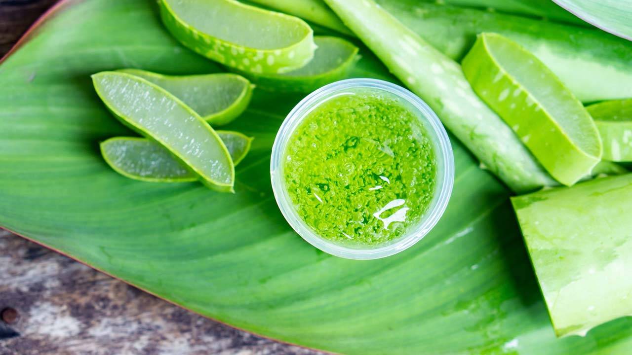 How To Properly Clean and Remove The Poison From Aloe Vera Before You