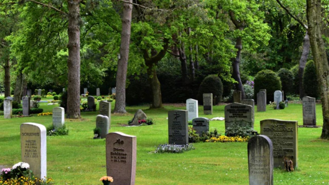 Viral News: A young woman chooses a graveyard shift to get rid of the stressful work of the company