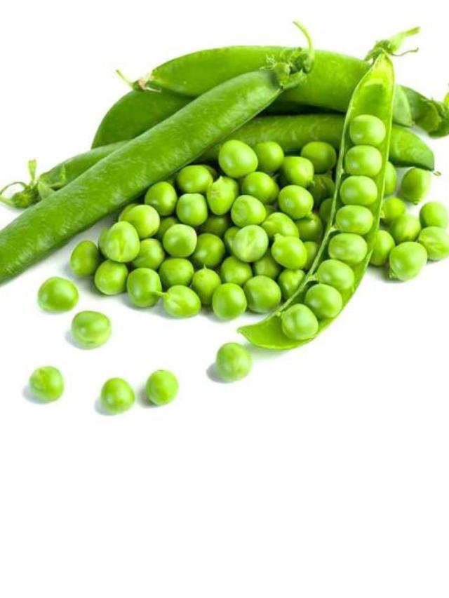 ಹಸಿರು ಬಟಾಣೆ ಸೇವನೆಯ ಆರೋಗ್ಯ ಪ್ರಯೋಜನಗಳಿವು TV9 Kannada Here Are The